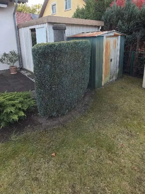 Dieselbe Hecke nach dem Schnitt, kompakt und gerade